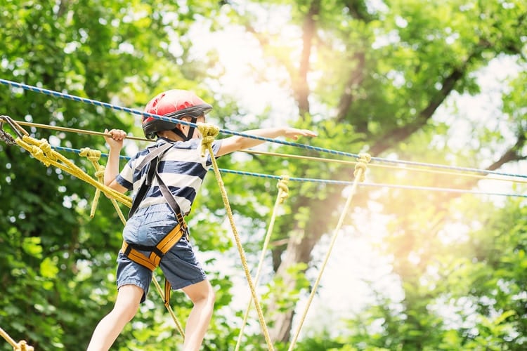 Kids Climbing at Jungle Trek