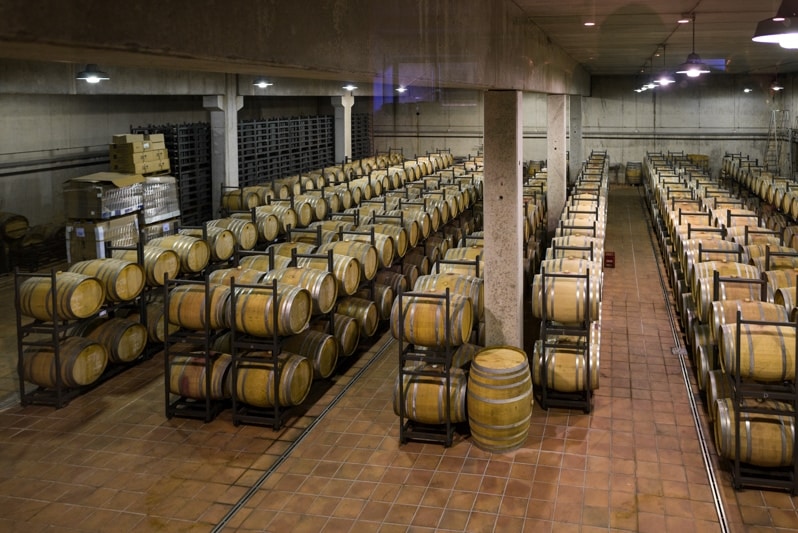 Wine Barrels in a cellar