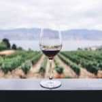 Wine in the Penedes region