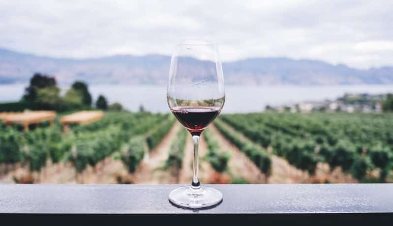 Una copa con vino tinto en primer plano, en segundo plano los viñedos de la región del Penedès