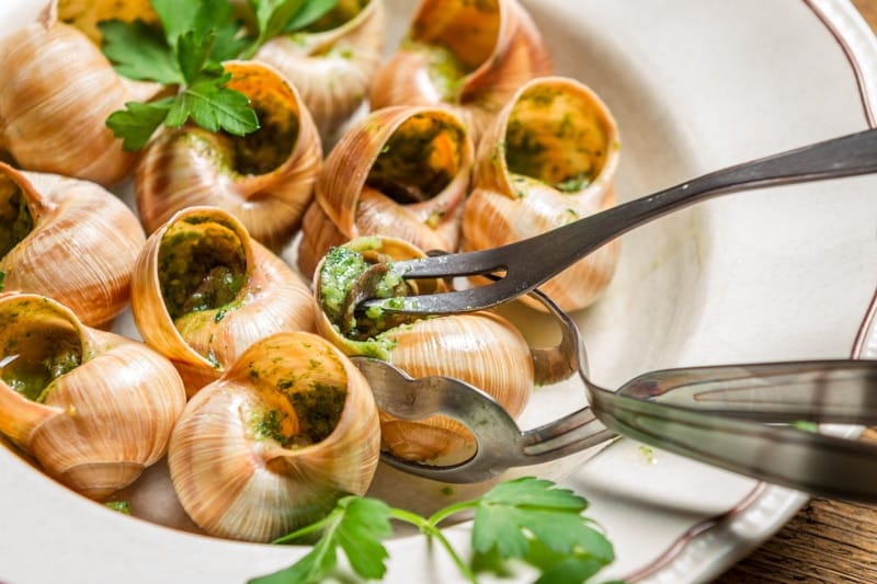 Closeup of eating the fried snails with garlic butter