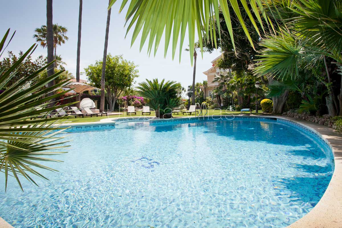 The massive pool in Isla Cozumel